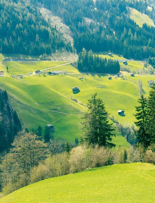 Schoesserhof Villa Zell am Ziller Bagian luar foto